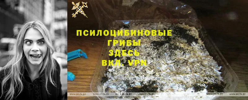 Галлюциногенные грибы Magic Shrooms  OMG ссылка  дарк нет телеграм  Зеленогорск 